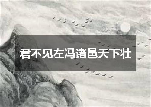 君不见左冯诸邑天下壮