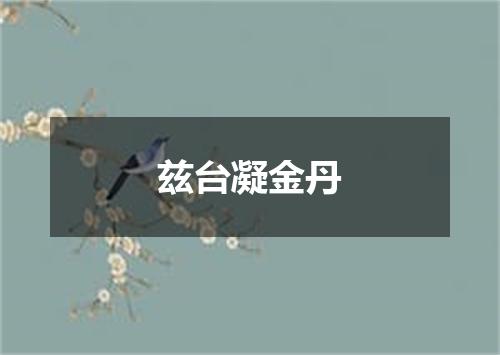 兹台凝金丹
