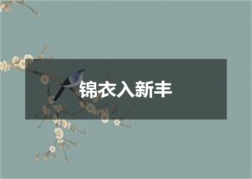 锦衣入新丰