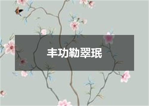 丰功勒翠珉