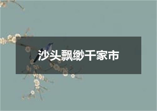 沙头飘缈千家市