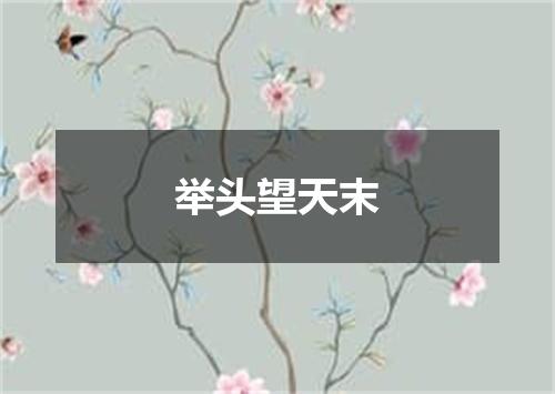 举头望天末