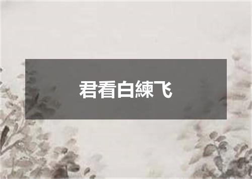 君看白練飞