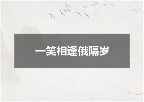 一笑相逢俄隔岁