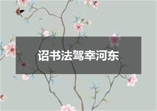 诏书法驾幸河东