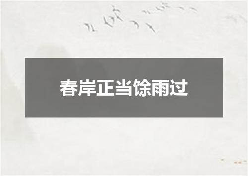 春岸正当馀雨过