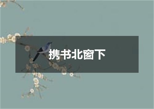 携书北窗下