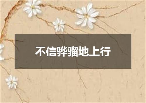 不信骅骝地上行