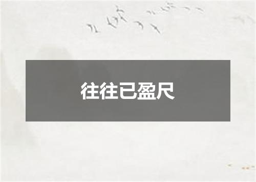 往往已盈尺