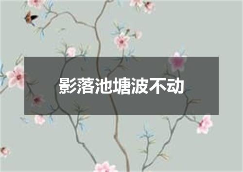 影落池塘波不动