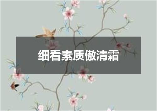 细看素质傲清霜
