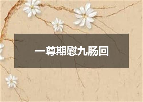 一尊期慰九肠回
