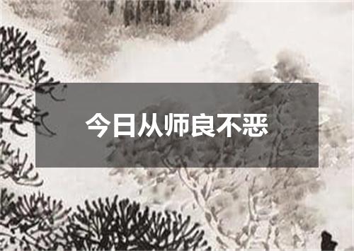 今日从师良不恶