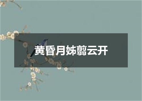 黄昏月姊翦云开