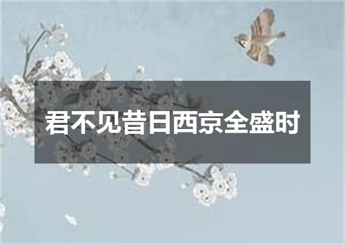 君不见昔日西京全盛时