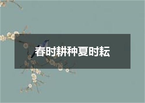 春时耕种夏时耘
