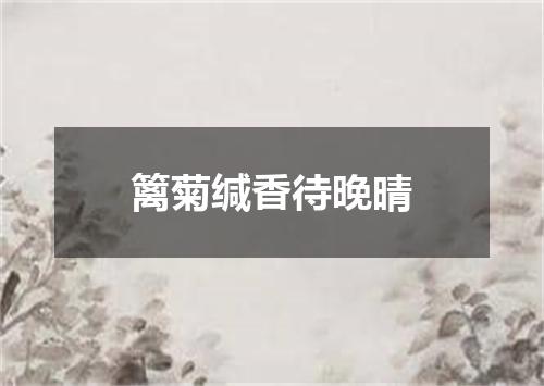 篱菊缄香待晚晴