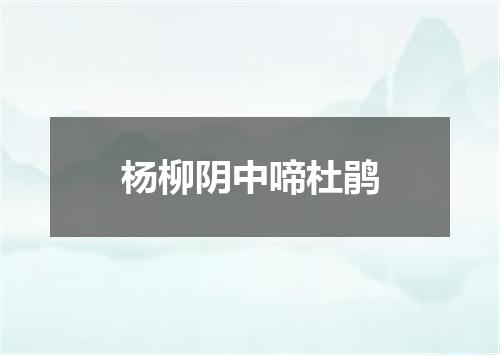 杨柳阴中啼杜鹃