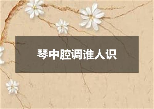 琴中腔调谁人识