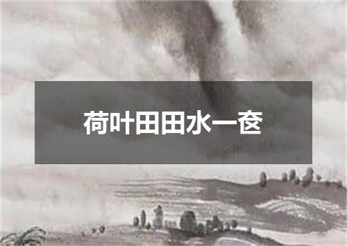 荷叶田田水一奁