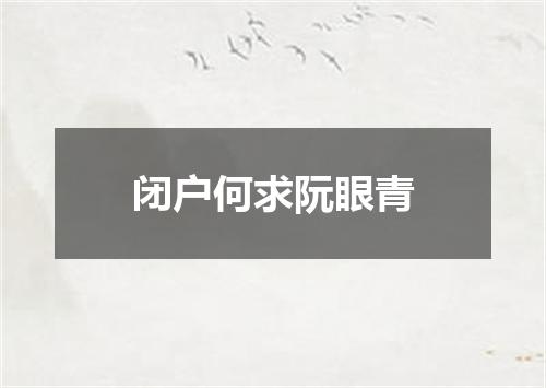 闭户何求阮眼青