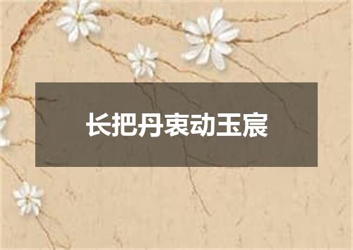 长把丹衷动玉宸