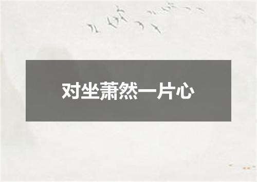 对坐萧然一片心