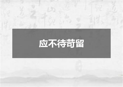 应不待苛留