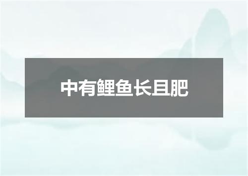 中有鲤鱼长且肥