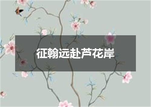 征翰远赴芦花岸