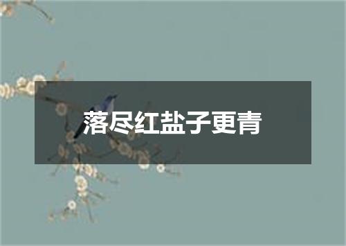 落尽红盐子更青