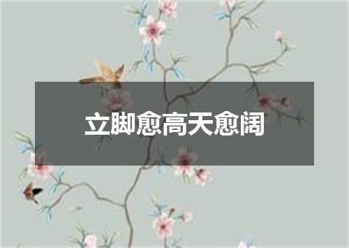 立脚愈高天愈阔