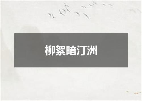 柳絮暗汀洲