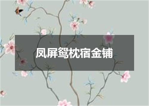 凤屏鸳枕宿金铺