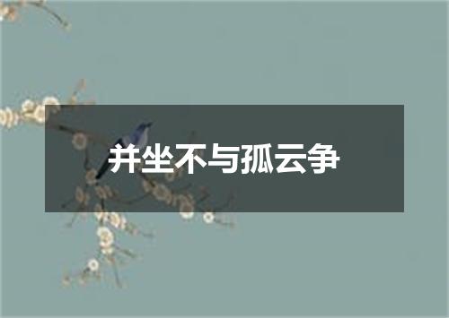 并坐不与孤云争