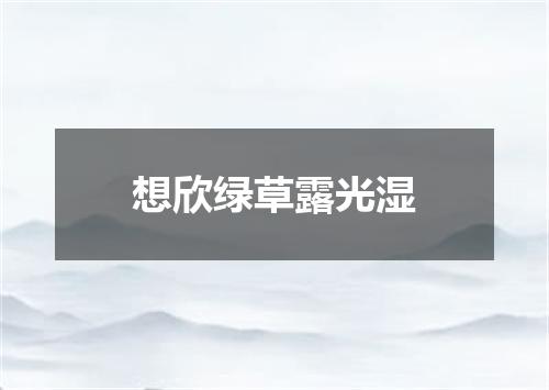 想欣绿草露光湿