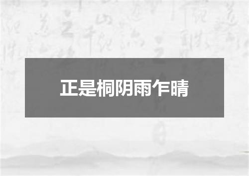 正是桐阴雨乍晴