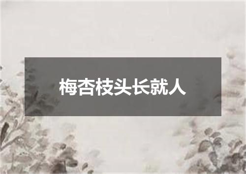 梅杏枝头长就人