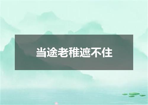 当途老稚遮不住