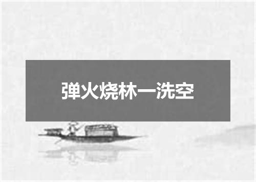 弹火烧林一洗空