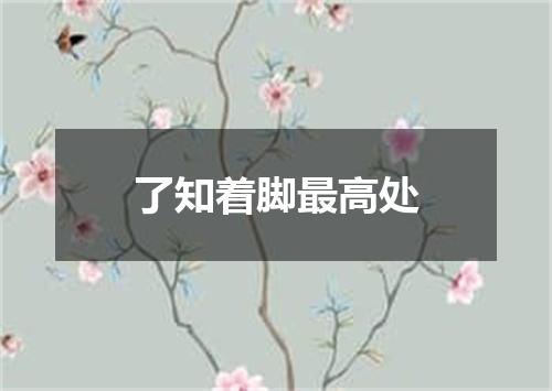 了知着脚最高处