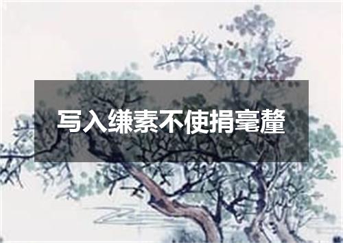 写入缣素不使捐毫釐
