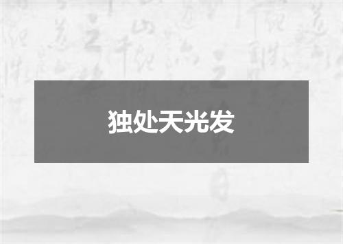 独处天光发