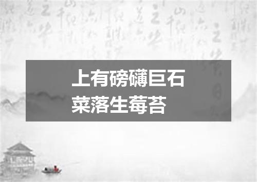 上有磅礴巨石菜落生莓苔
