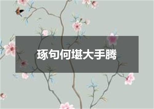 琢句何堪大手腾