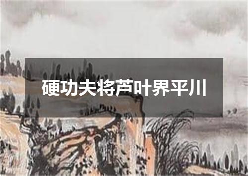 硬功夫将芦叶界平川