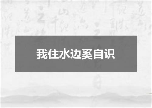 我住水边奚自识