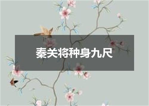 秦关将种身九尺