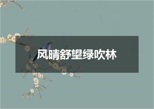 风晴舒望绿吹林