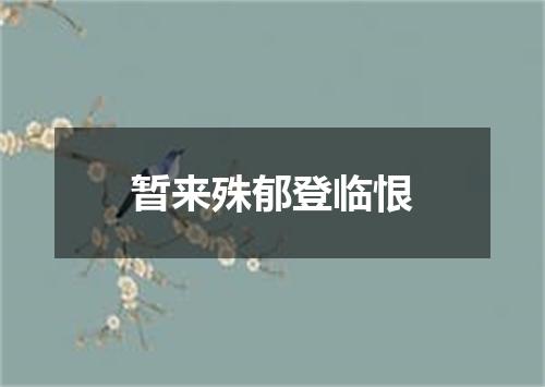 暂来殊郁登临恨